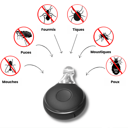 Protection anti-tique - ZéroTique™